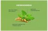 Research-Based Health Benefits of Ashwagandha