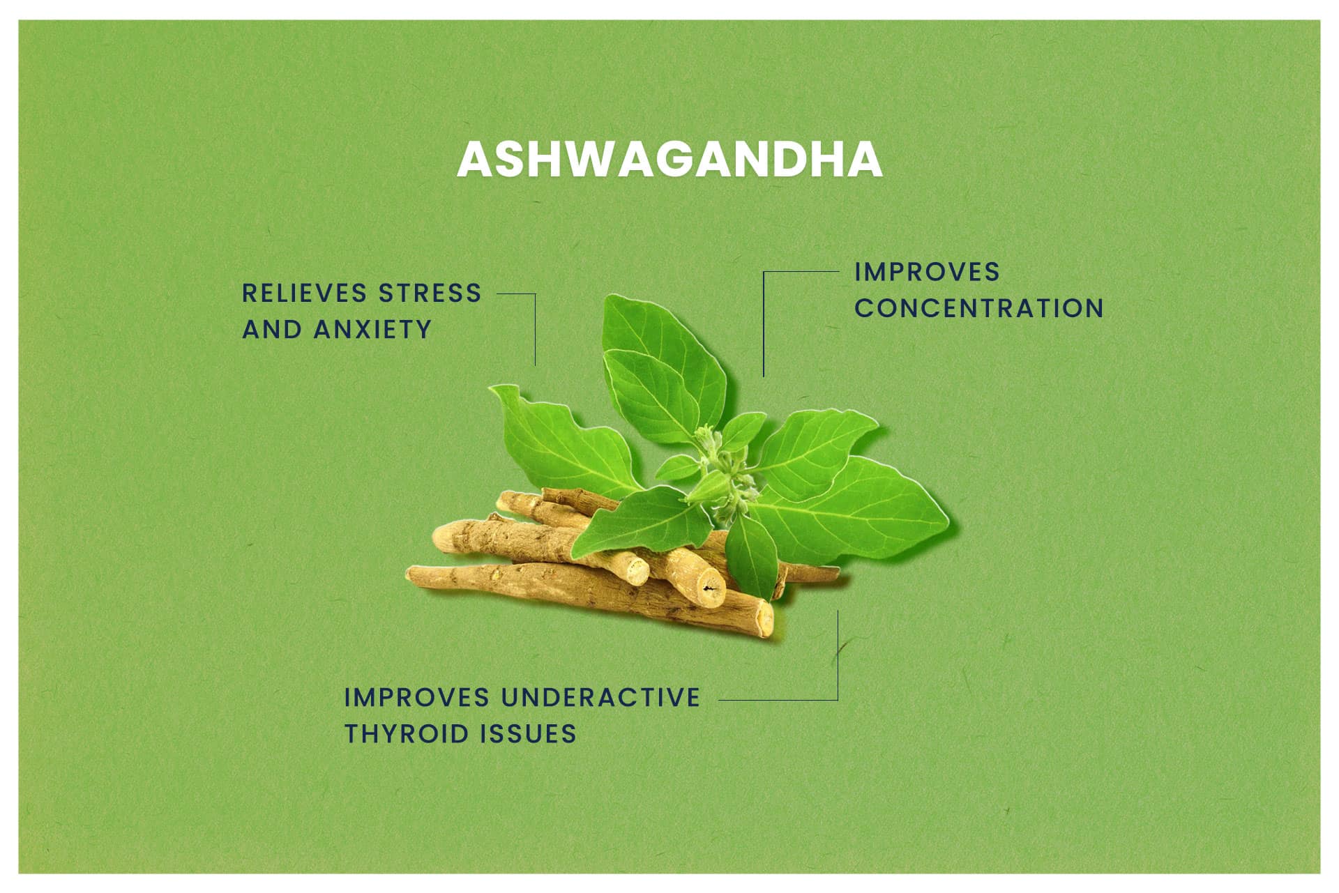 Research-Based Health Benefits of Ashwagandha