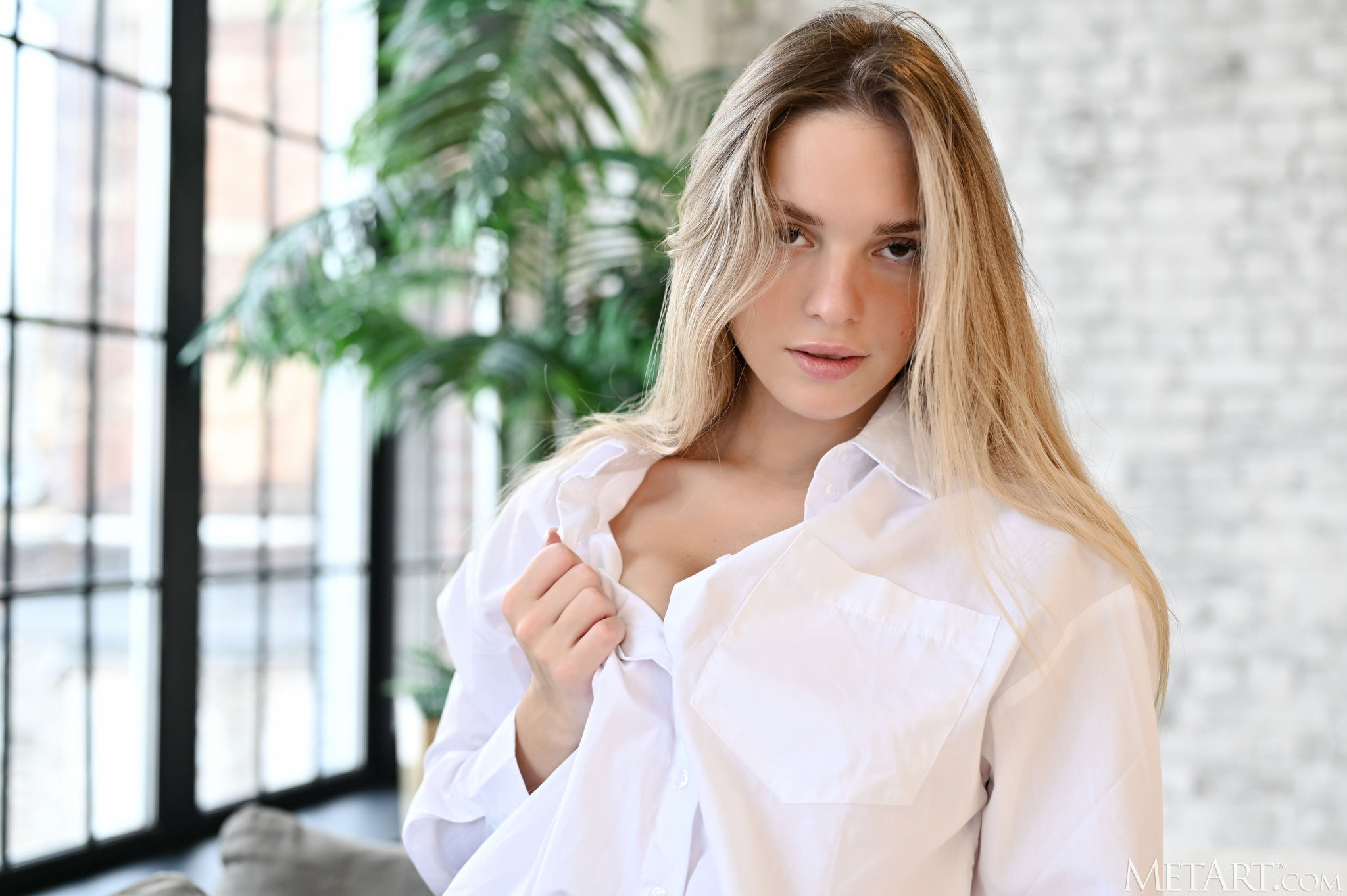 Ardenelle Knox’s Anti-Inflammatory Plan for Menopause Relief